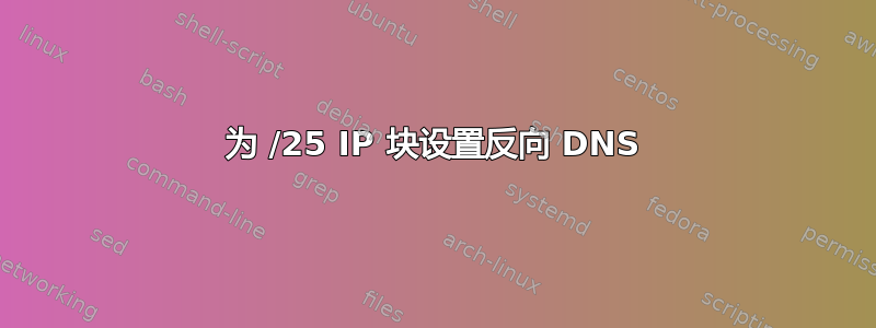 为 /25 IP 块设置反向 DNS