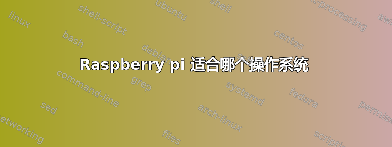 Raspberry pi 适合哪个操作系统