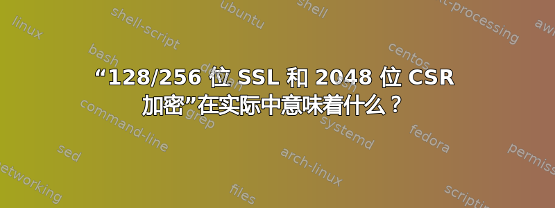 “128/256 位 SSL 和 2048 位 CSR 加密”在实际中意味着什么？