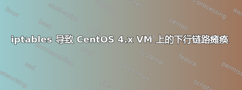 iptables 导致 CentOS 4.x VM 上的下行链路瘫痪