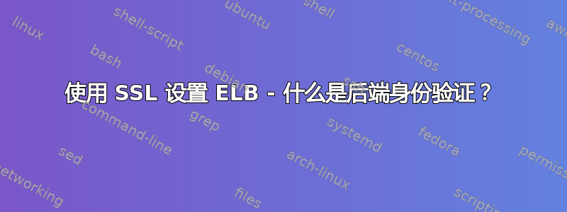 使用 SSL 设置 ELB - 什么是后端身份验证？