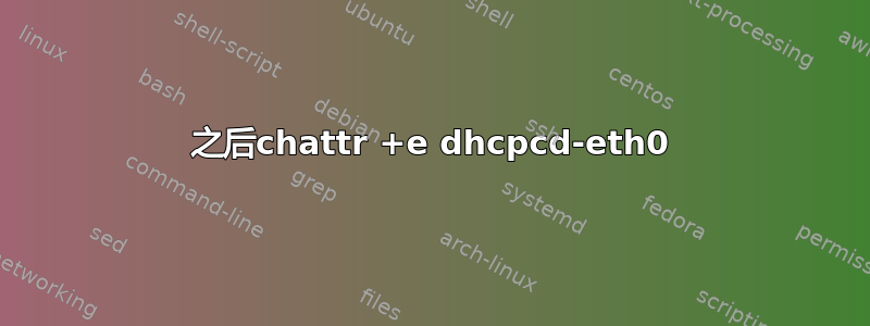 之后chattr +e dhcpcd-eth0