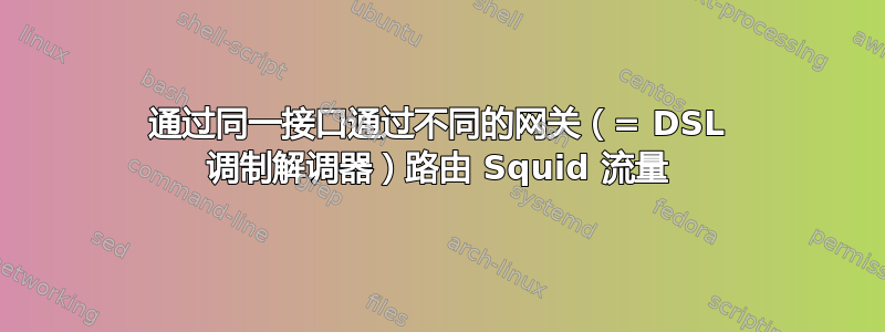 通过同一接口通过不同的网关（= DSL 调制解调器）路由 Squid 流量