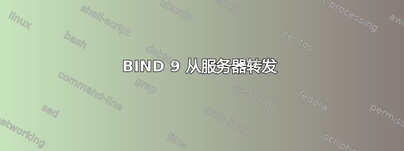 BIND 9 从服务器转发