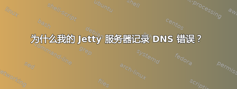 为什么我的 Jetty 服务器记录 DNS 错误？