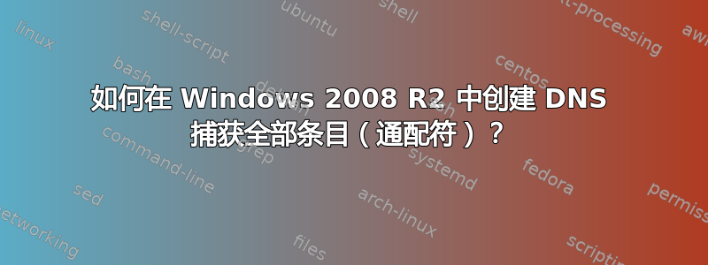 如何在 Windows 2008 R2 中创建 DNS 捕获全部条目（通配符）？