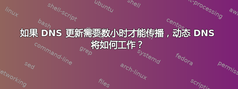 如果 DNS 更新需要数小时才能传播，动态 DNS 将如何工作？