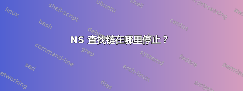 NS 查找链在哪里停止？