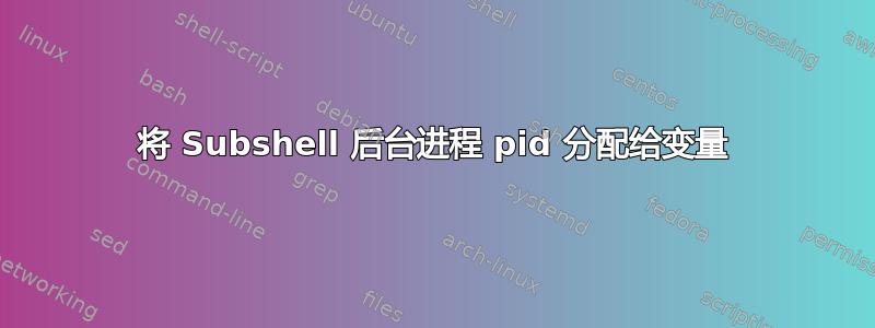 将 Subshel​​l 后台进程 pid 分配给变量