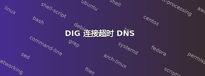 DIG 连接超时 DNS 