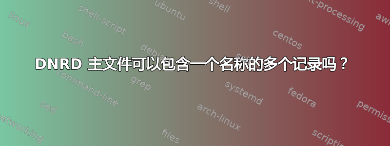 DNRD 主文件可以包含一个名称的多个记录吗？