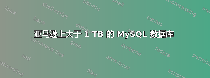 亚马逊上大于 1 TB 的 MySQL 数据库