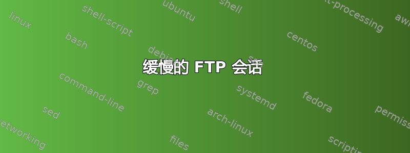 缓慢的 FTP 会话