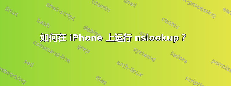 如何在 iPhone 上运行 nslookup？