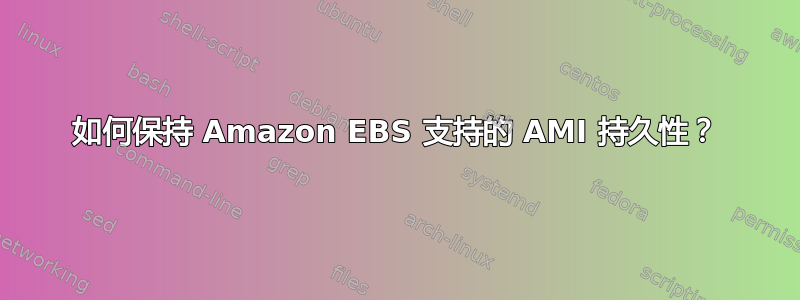 如何保持 Amazon EBS 支持的 AMI 持久性？