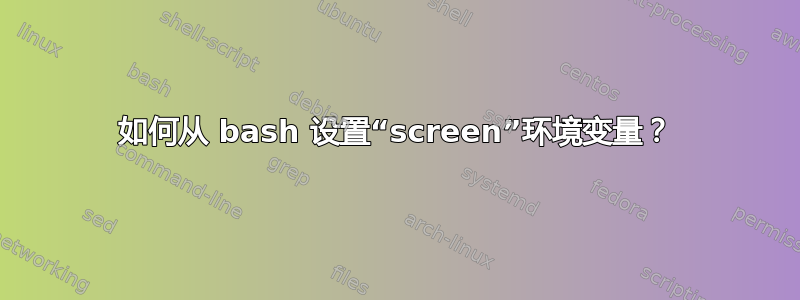 如何从 bash 设置“screen”环境变量？