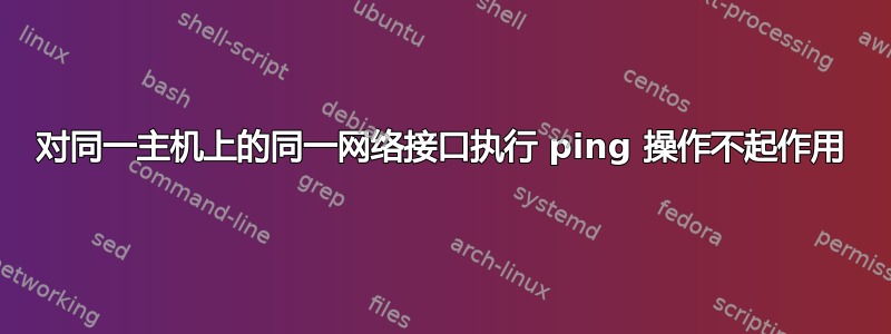 对同一主机上的同一网络接口执行 ping 操作不起作用