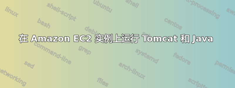 在 Amazon EC2 实例上运行 Tomcat 和 Java