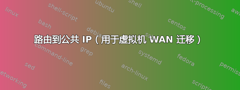 路由到公共 IP（用于虚拟机 WAN 迁移）