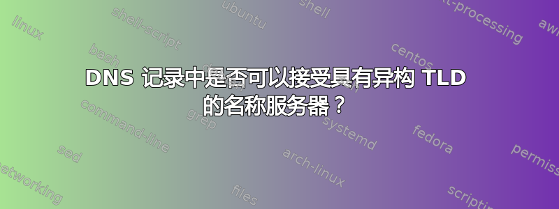 DNS 记录中是否可以接受具有异构 TLD 的名称服务器？