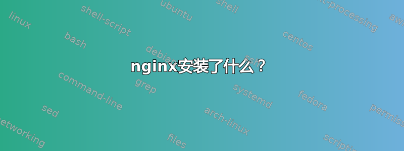 nginx安装了什么？