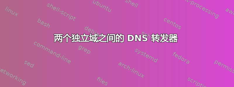 两个独立域之间的 DNS 转发器