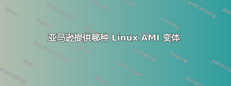 亚马逊提供哪种 Linux AMI 变体