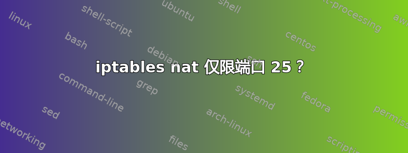 iptables nat 仅限端口 25？