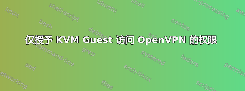 仅授予 KVM Guest 访问 OpenVPN 的权限