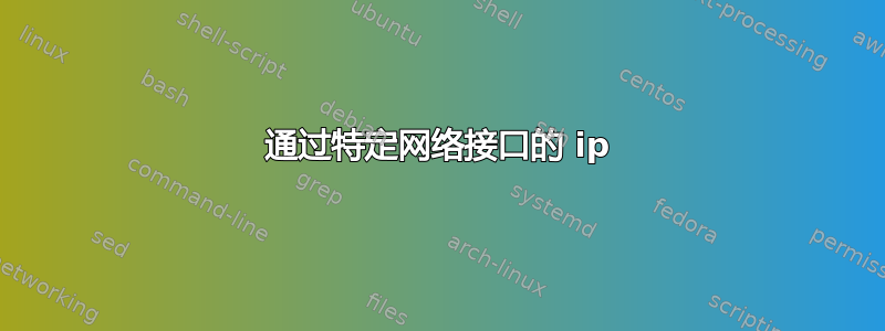 通过特定网络接口的 ip