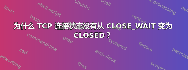 为什么 TCP 连接状态没有从 CLOSE_WAIT 变为 CLOSED？