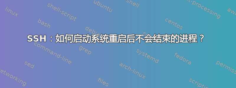 SSH：如何启动系统重启后不会结束的进程？