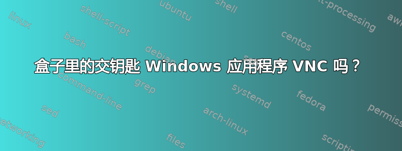 盒子里的交钥匙 Windows 应用程序 VNC 吗？