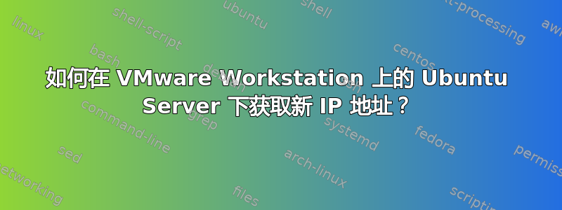 如何在 VMware Workstation 上的 Ubuntu Server 下获取新 IP 地址？