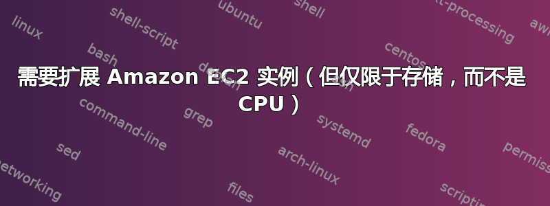 需要扩展 Amazon EC2 实例（但仅限于存储，而不是 CPU）