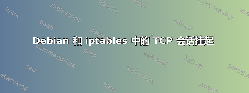 Debian 和 iptables 中的 TCP 会话挂起