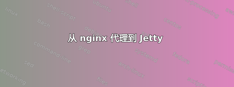 从 nginx 代理到 Jetty