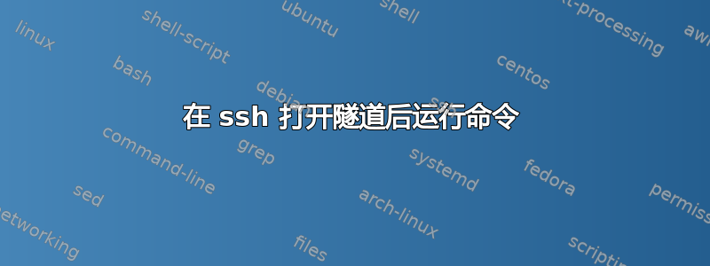 在 ssh 打开隧道后运行命令