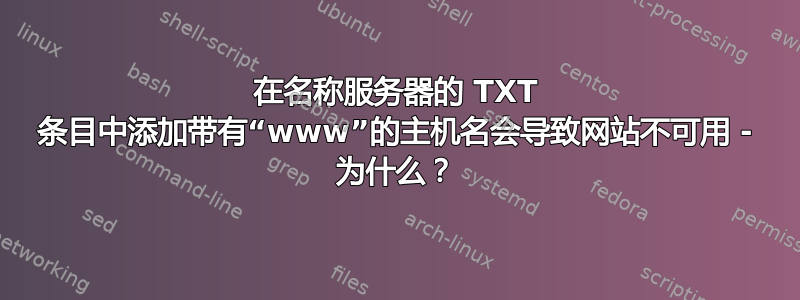 在名称服务器的 TXT 条目中添加带有“www”的主机名会导致网站不可用 - 为什么？