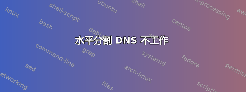 水平分割 DNS 不工作