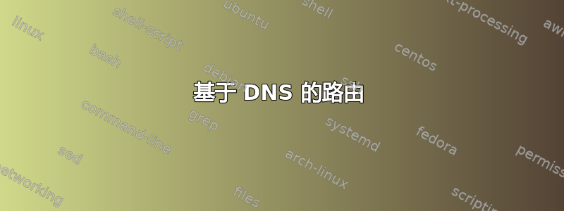 基于 DNS 的路由