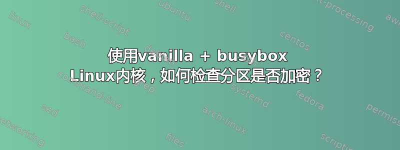 使用vanilla + busybox Linux内核，如何检查分区是否加密？