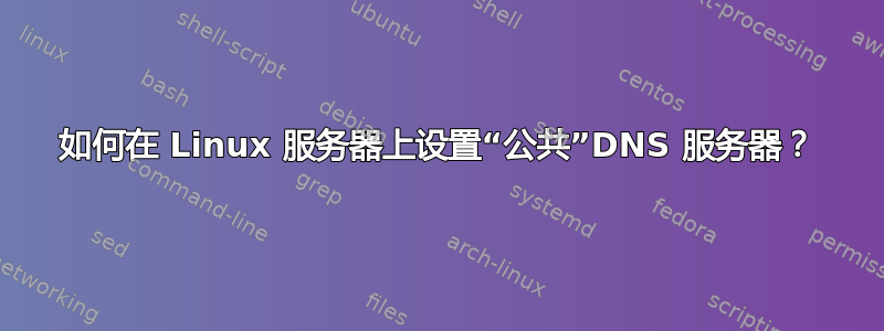 如何在 Linux 服务器上设置“公共”DNS 服务器？