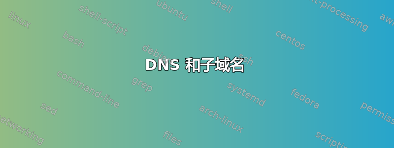 DNS 和子域名