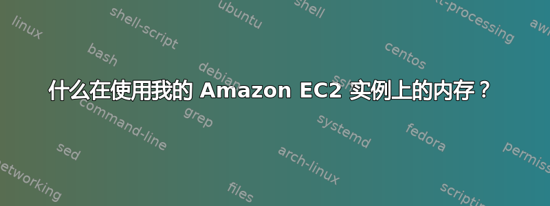 什么在使用我的 Amazon EC2 实例上的内存？