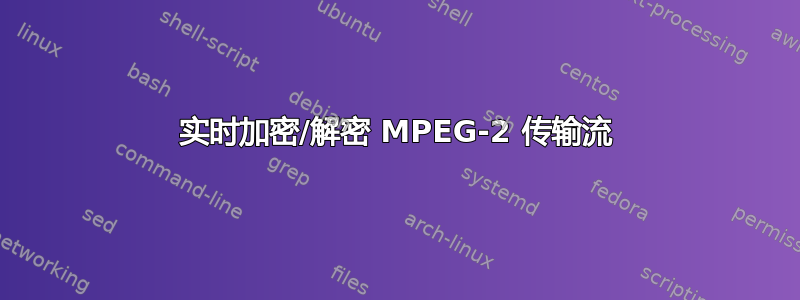 实时加密/解密 MPEG-2 传输流