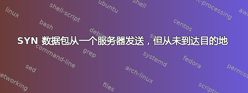 SYN 数据包从一个服务器发送，但从未到达目的地