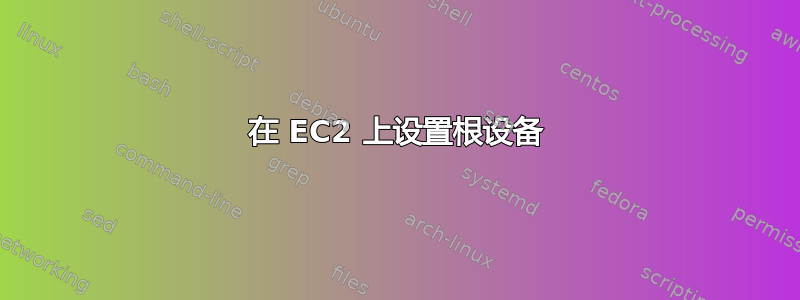 在 EC2 上设置根设备