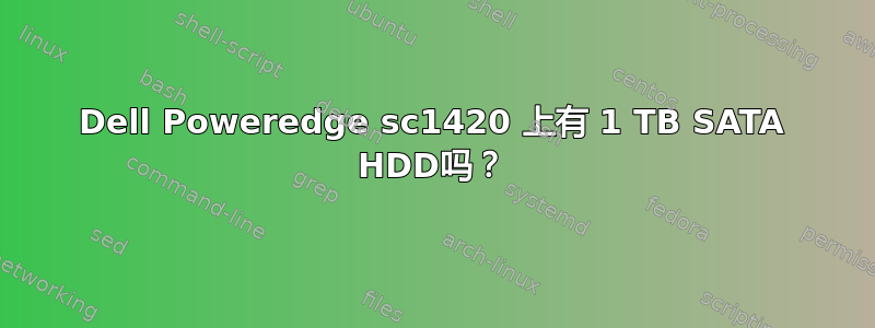 Dell Poweredge sc1420 上有 1 TB SATA HDD吗？