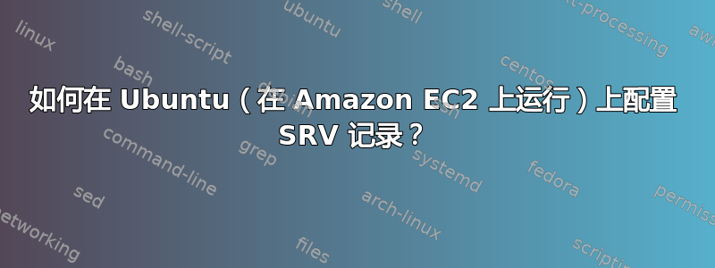 如何在 Ubuntu（在 Amazon EC2 上运行）上配置 SRV 记录？